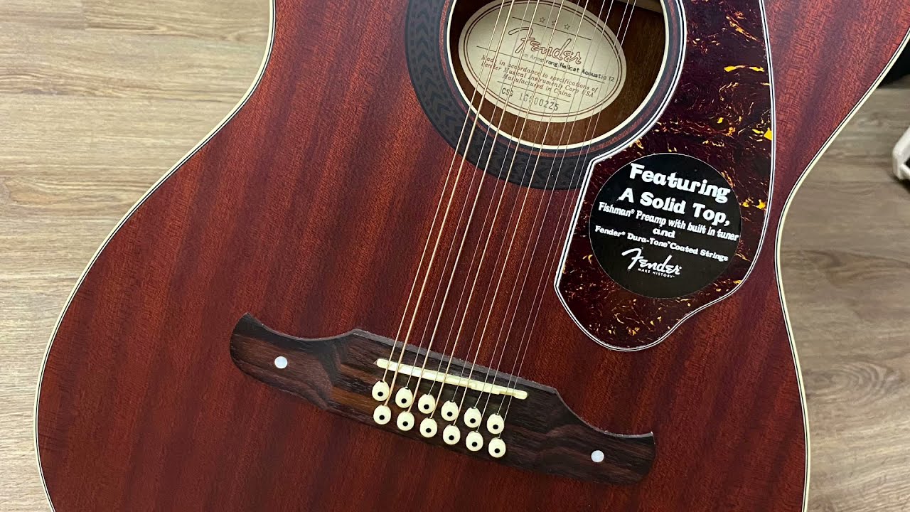 Fender Tim Armstrong Hellcat 12