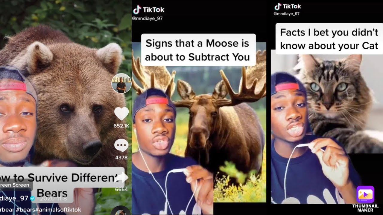 Mndiaye_97 TikTok compilation