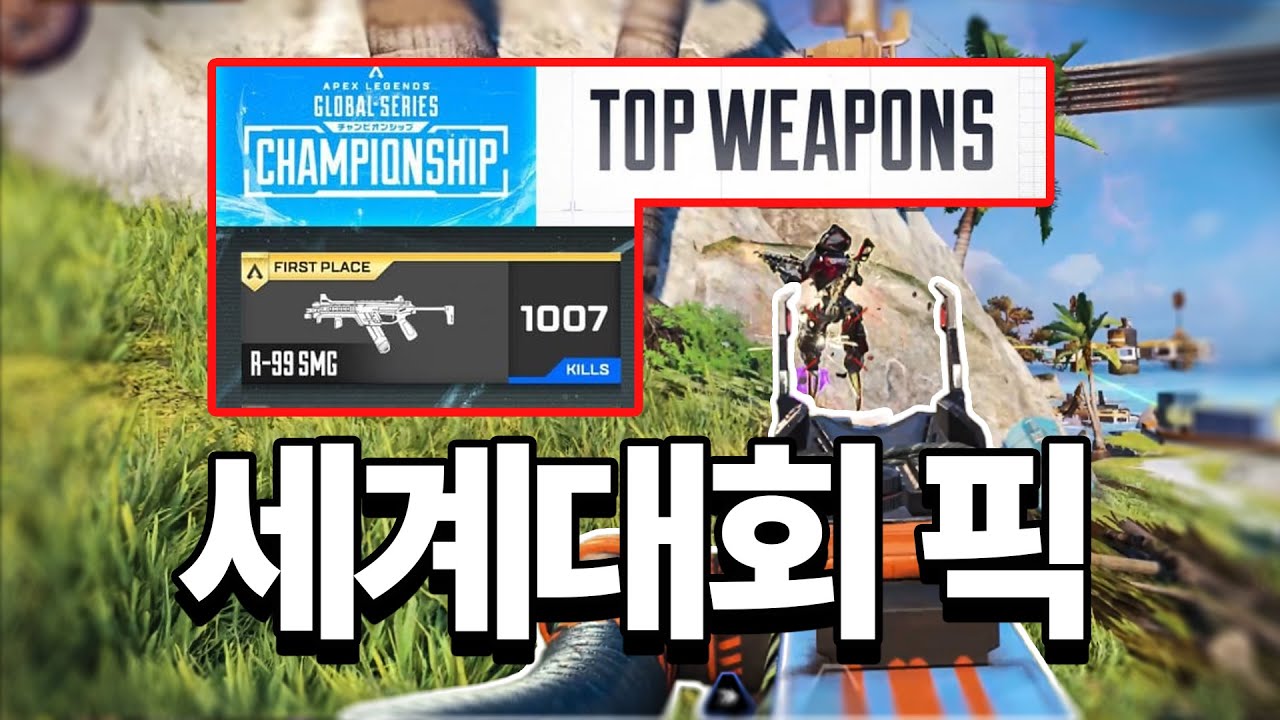 세계대회에서 킬1위 먹은 총