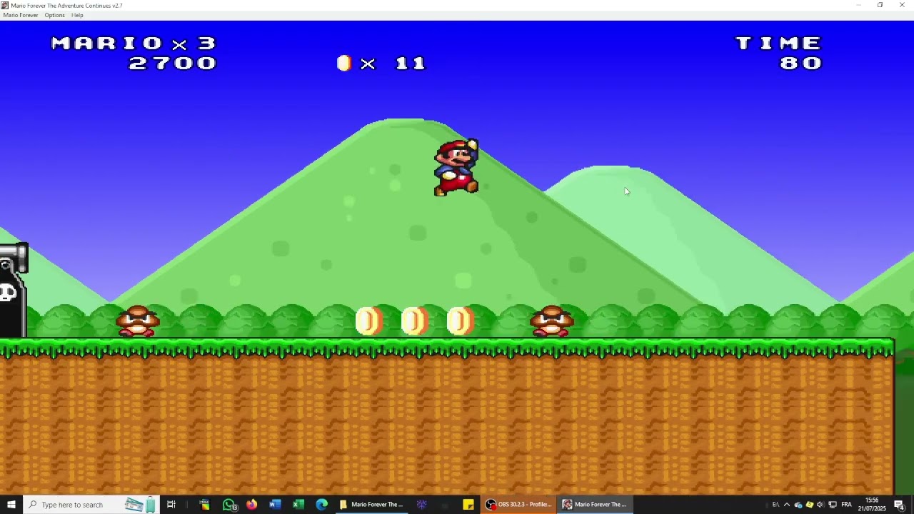 Mario Forever The Adventure Continues test