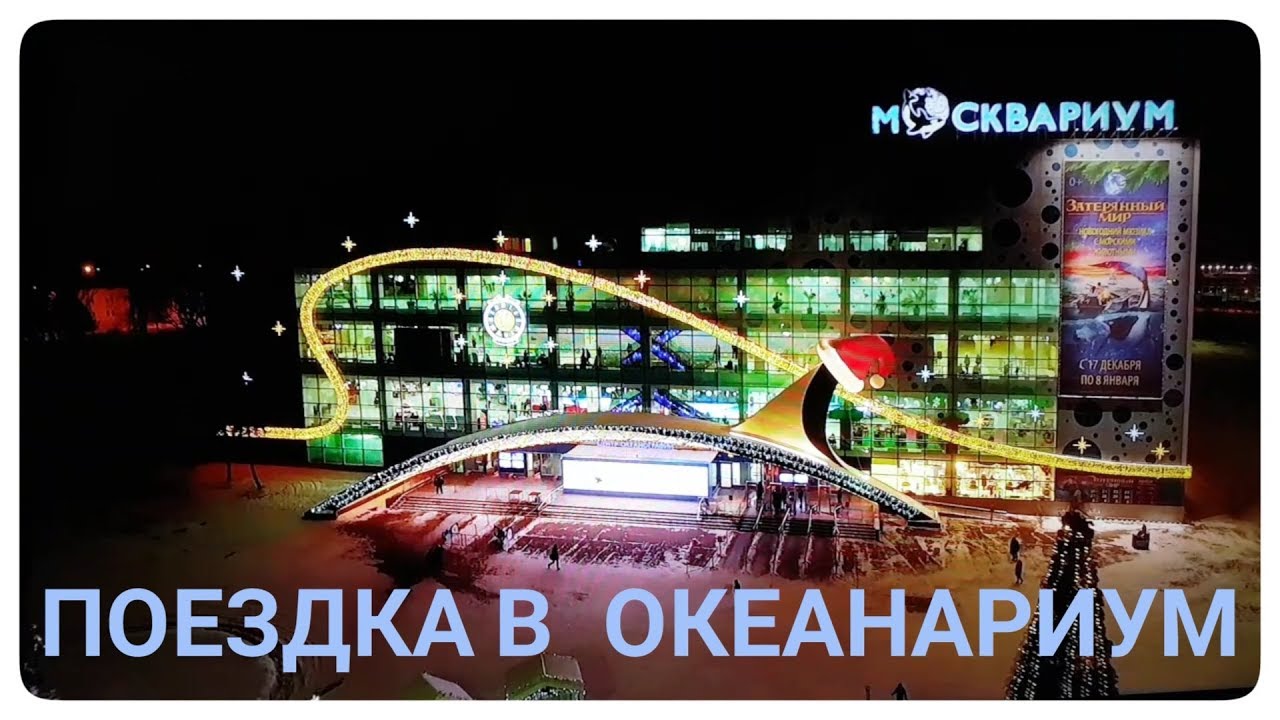 Поездка в океанариум 