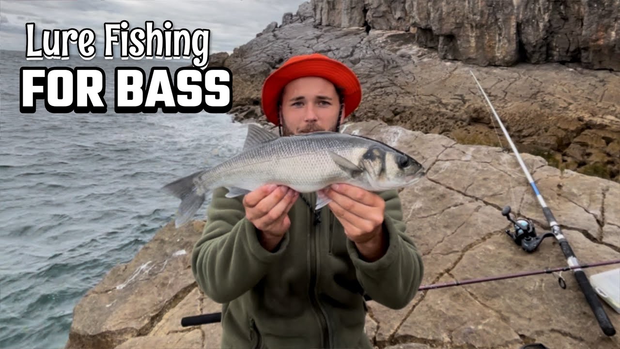 SEA FISHING GOWER - Lure Fishing for Bass at Wormshead