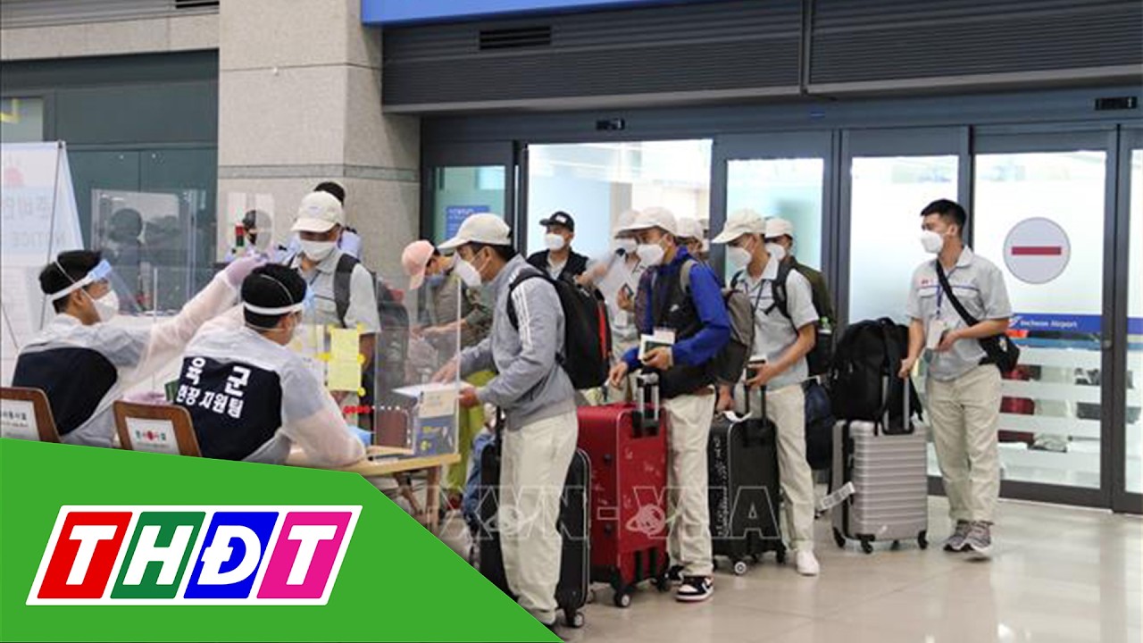Tạm dừng đưa người lao động đi làm việc tại Trung Đông | THDT