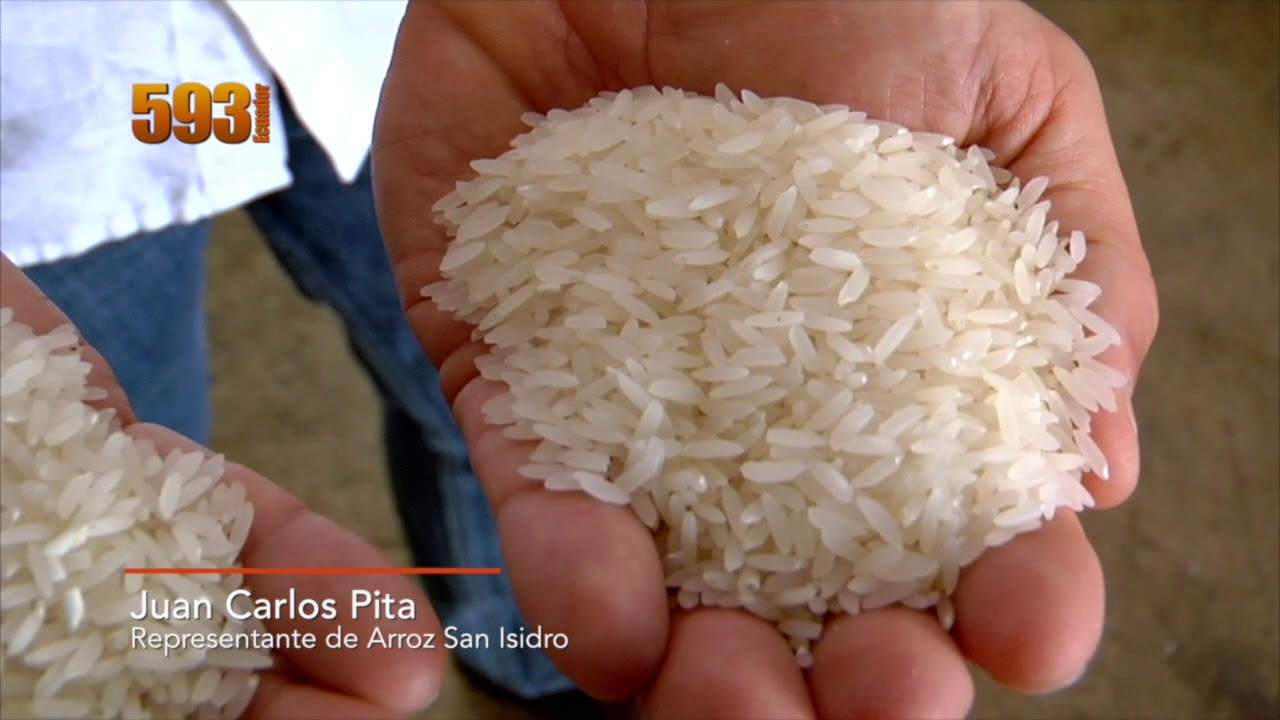 ¿Cúal es el proceso de ELABORACIÓN DEL ARROZ?
