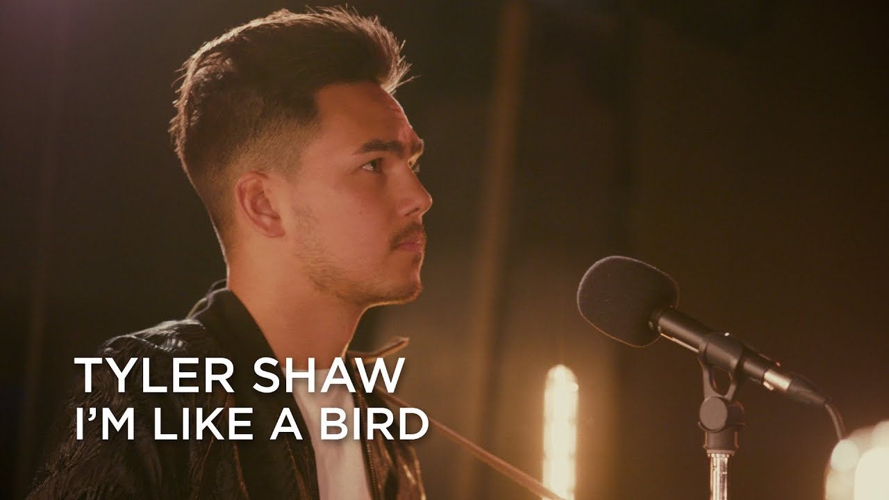 Tyler Shaw | I'm Like a Bird | Junos 365 Sessions