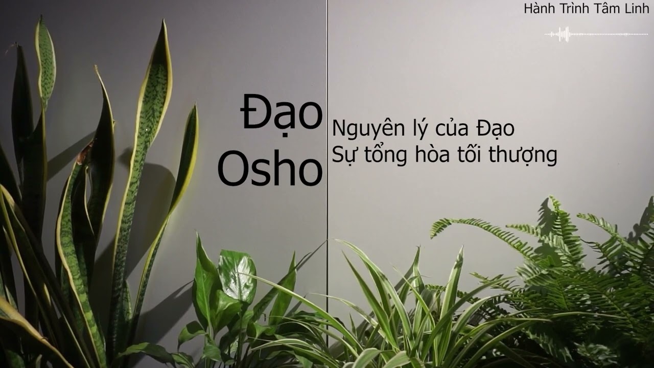 Đạo