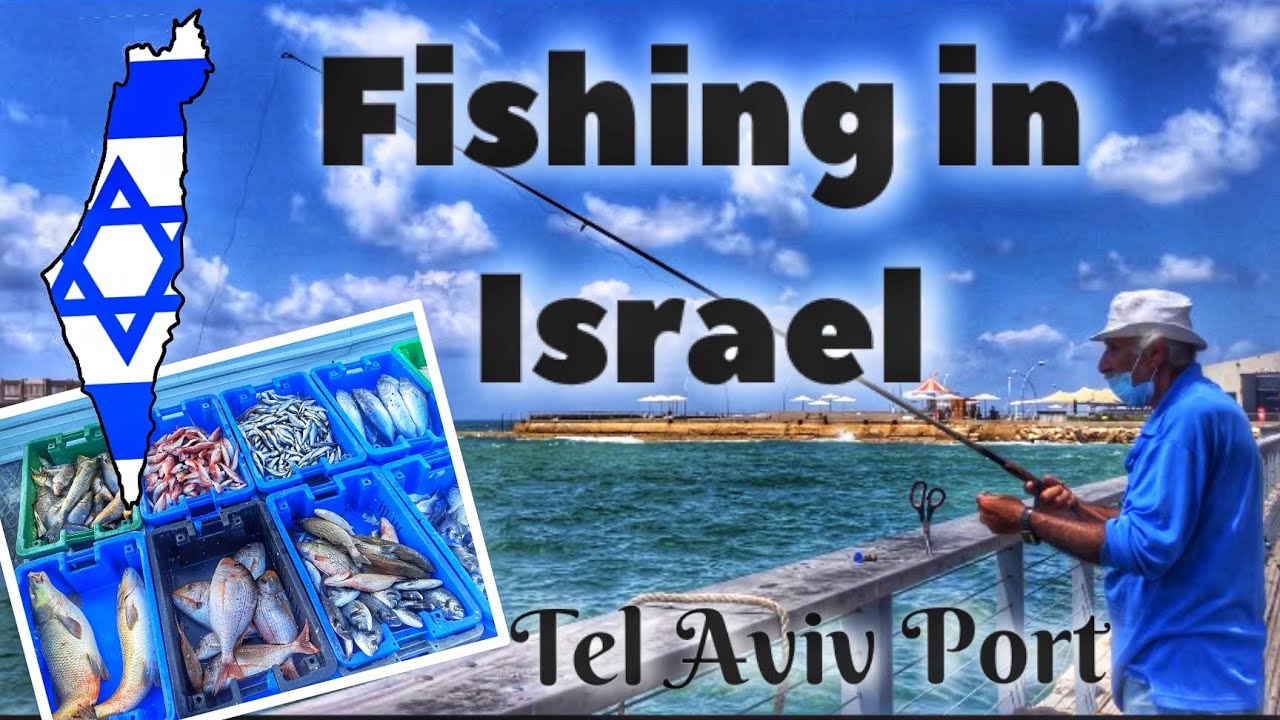 Fishing in Israel! 🇮🇱 I Yohanna Tal