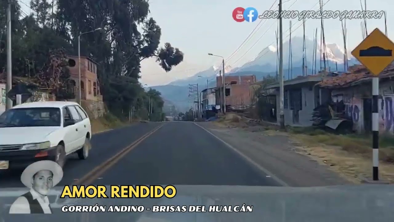 AMOR RENDIDO - GORRIÓN ANDINO - BRISAS DEL HUALCÁN