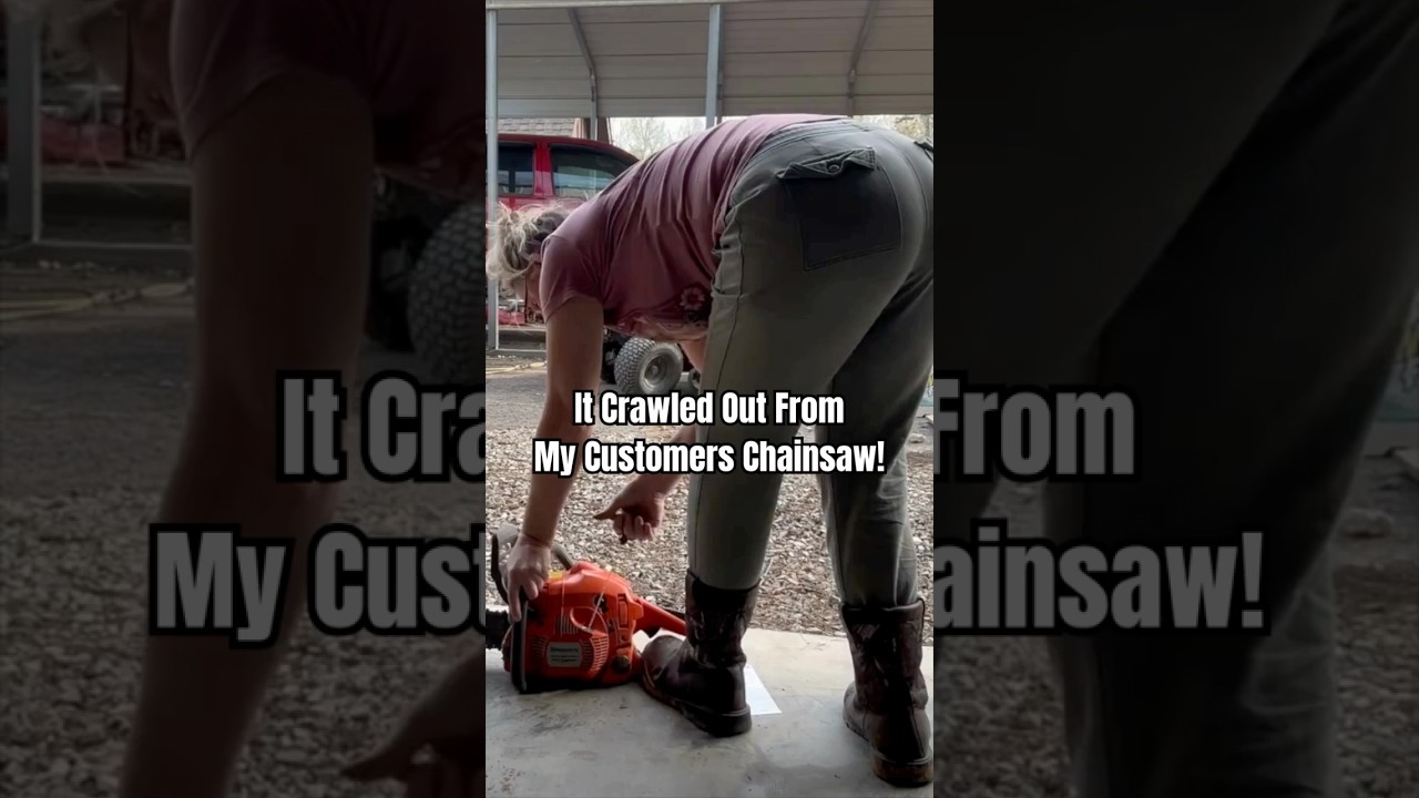 It Crawled Out From My Customers Chainsaw! #chickanic #diy