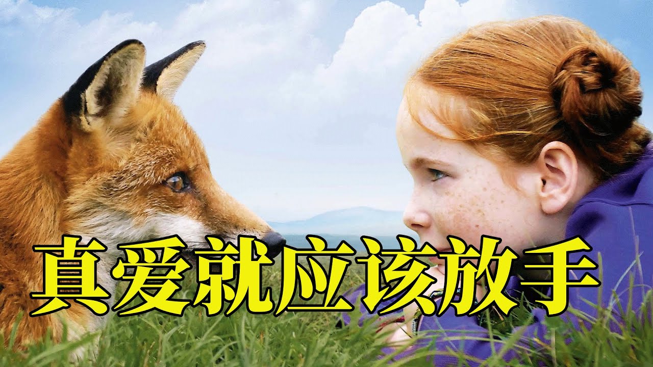 爱是驯养还是放手，狐狸与小女孩的故事，每一帧都值得珍藏，20分钟看完2007年儿童治愈电影《狐狸与我》