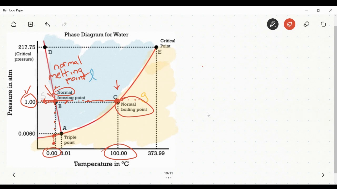 The phase diagram of water