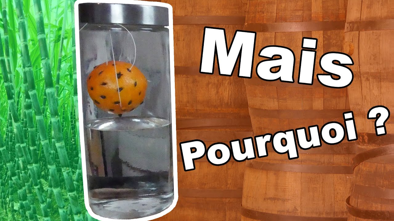Pourquoi suspendre les fruits ? - Autour du rhum #16