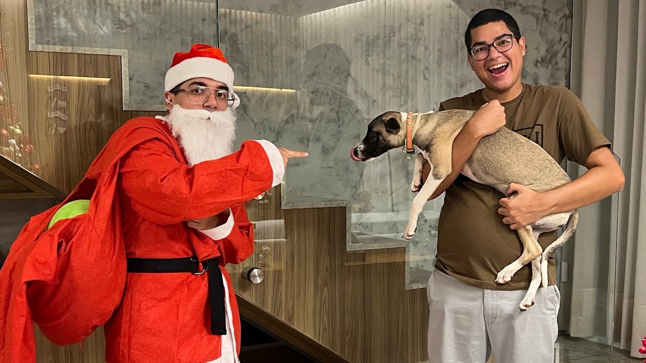 ME VESTI DE PAPAI NOEL E OLHA COMO NOSSA CACHORRINHA REAGIU! (Muito engraçado) - Família Velhote
