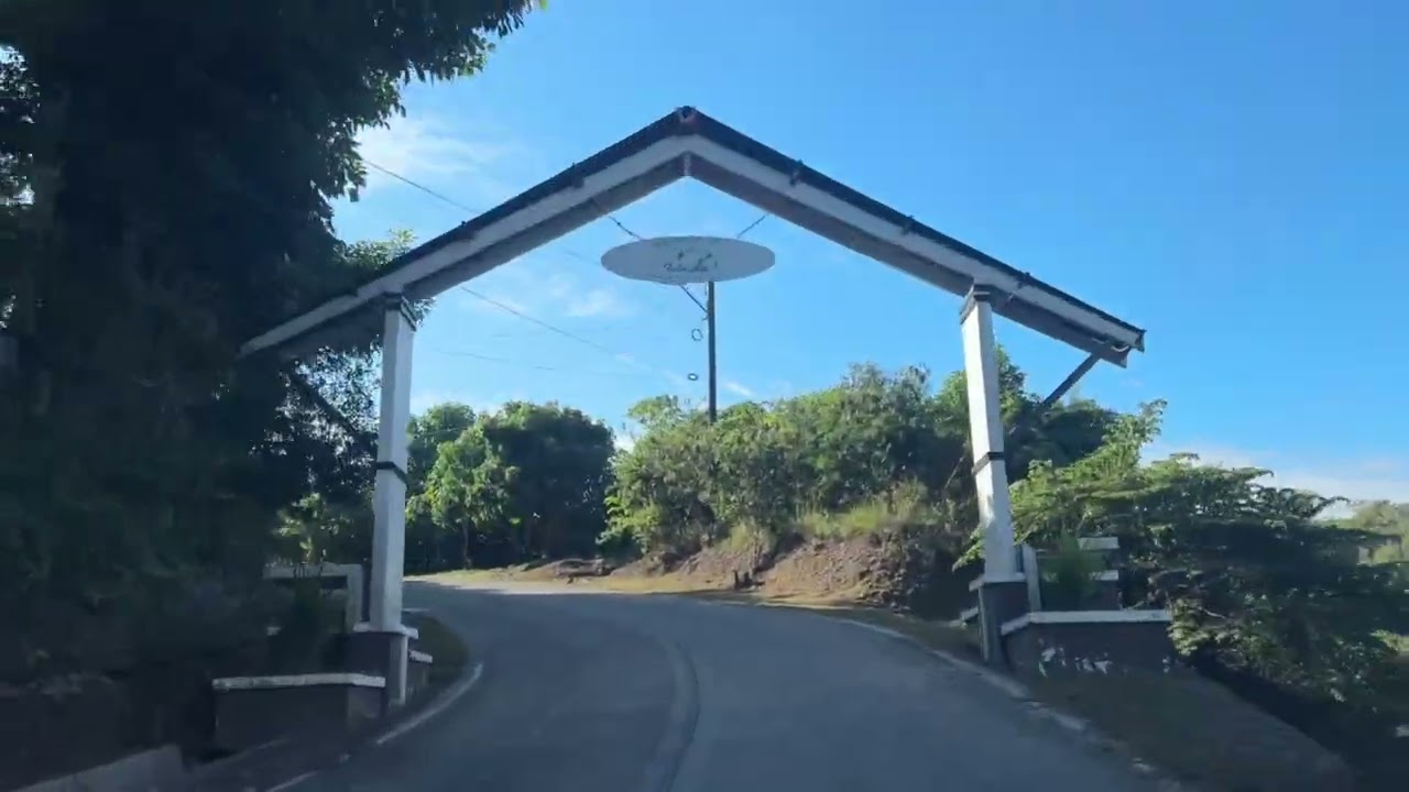 Drive with me on a tuesday then swimming and peacock watching 😊
