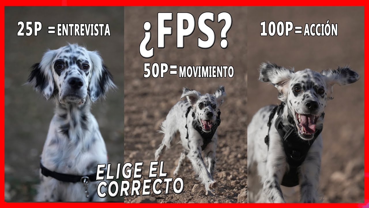 ¿Cuál es el MEJOR FPS para VIDEO?🎥 ¿CUÁNDO grabar a 25p, 30p, 50p, 60p, 100p o 120 fps?🙃