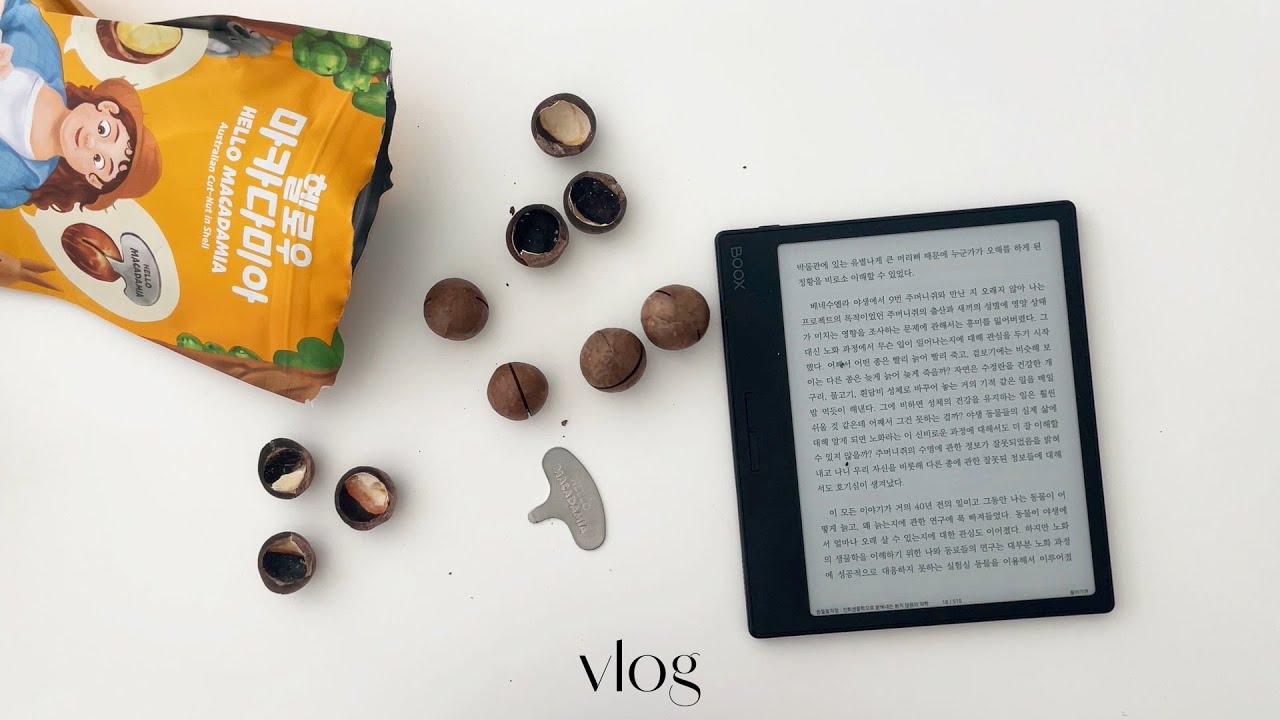 책과 간식🐿 먹을 거 없으면 책 못 읽는 사람의 독서 브이로그