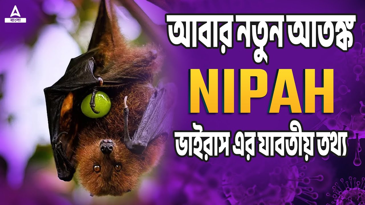 NIPAH Virus | New Virus Threat | Precautions For NIPAH Virus | ADDA247 BENGALI