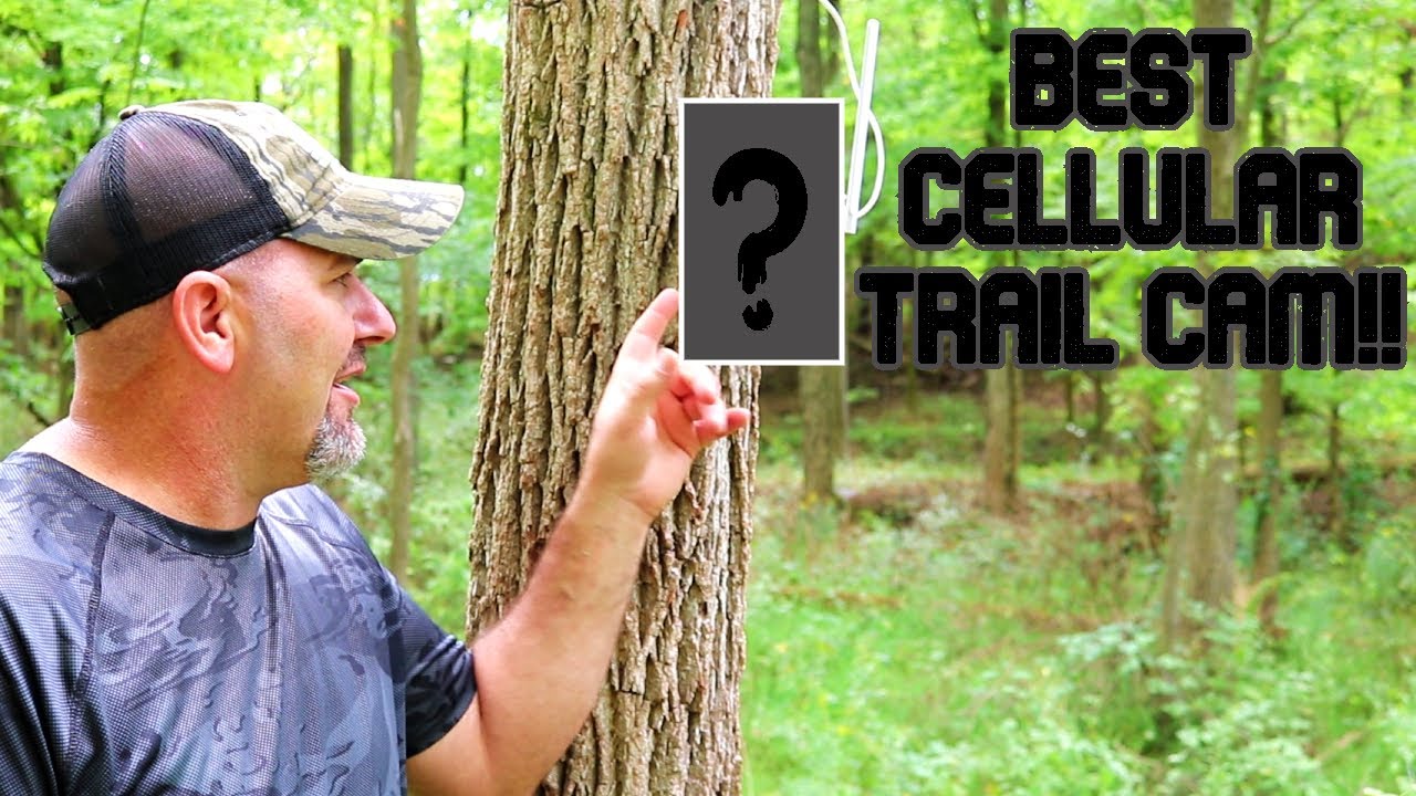 The Best Cellular Trail Camera (and it's not even a cellular trail camera) Reolink Go PT