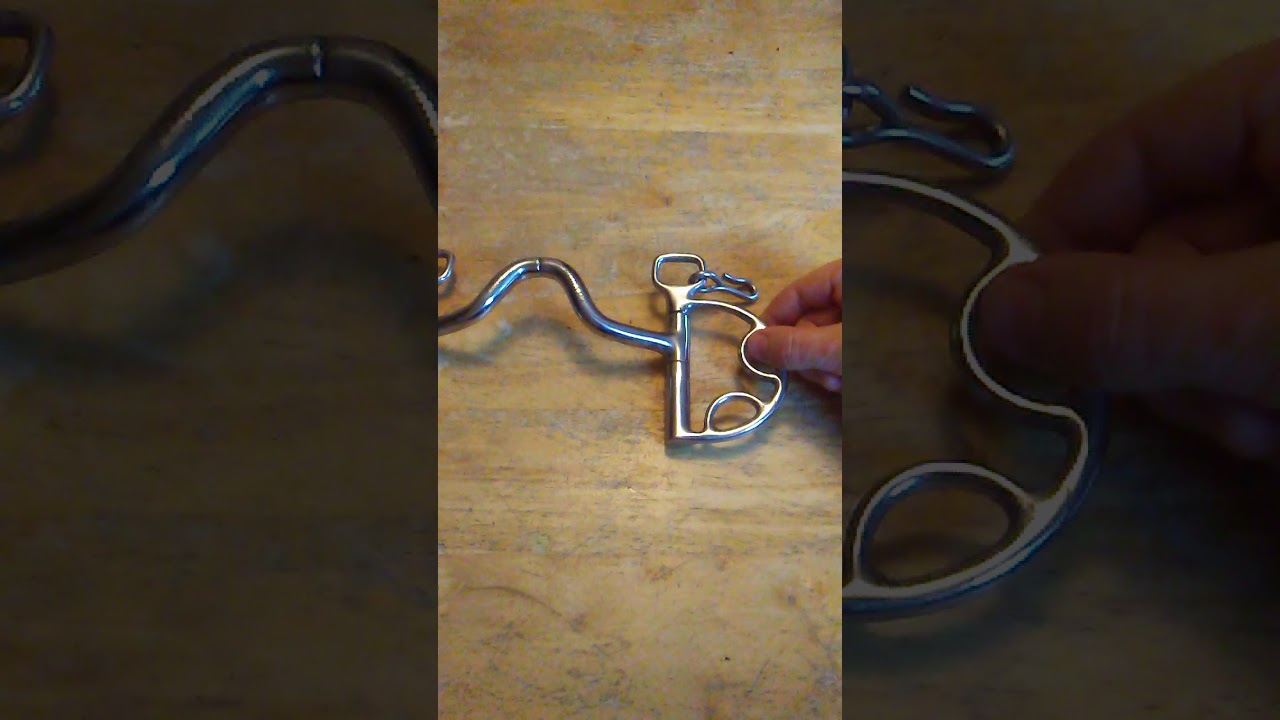 Bitting Video - Robart Pinchless Kimberwick