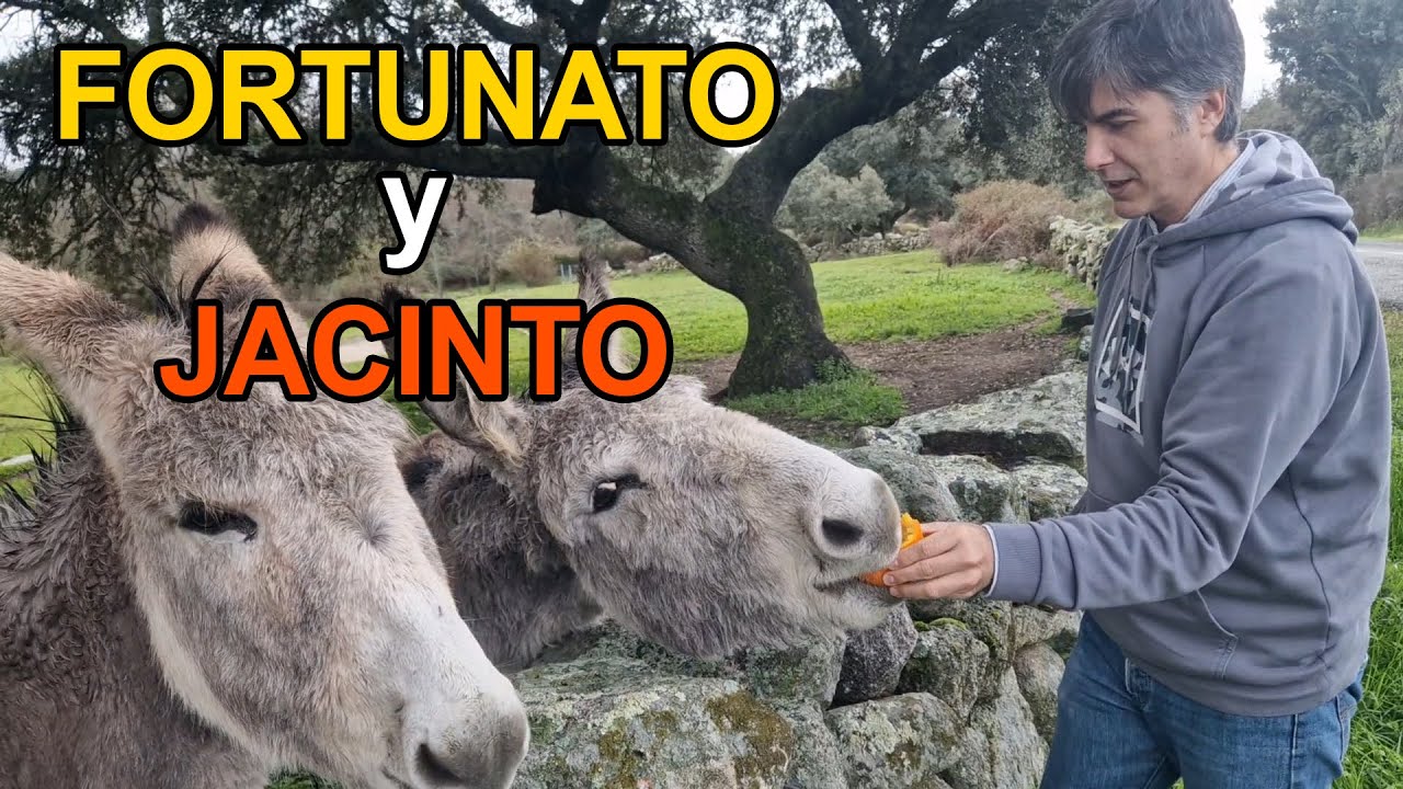 🐴 ¡Liberad a FORTUNATO! (y a Jacinto) 🌿