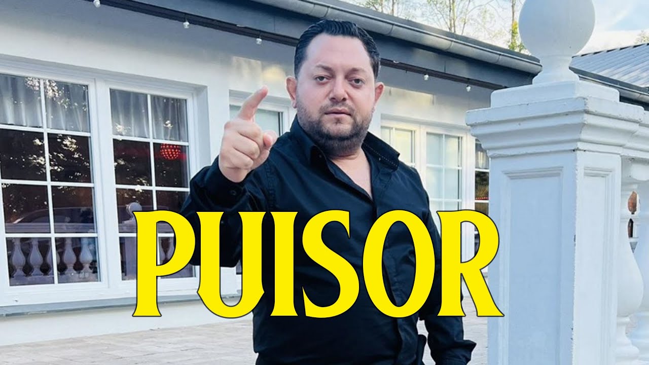 PUISOR DE LA MEDIAS - Cele mai noi ascultari #2025 