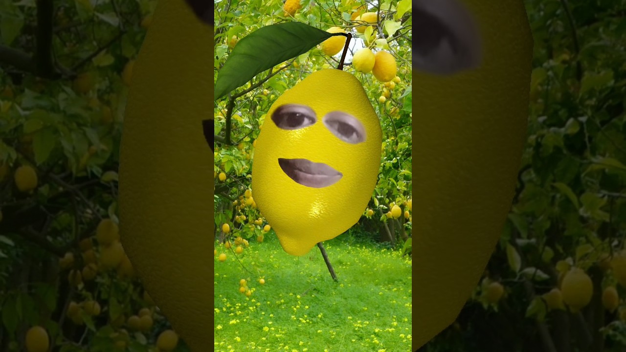 new comedy #subscribe #fruitcomedy #comedyjokes #comedy #fulcomedy #funnyjokes #fulfunny #comedy😜🤣😋