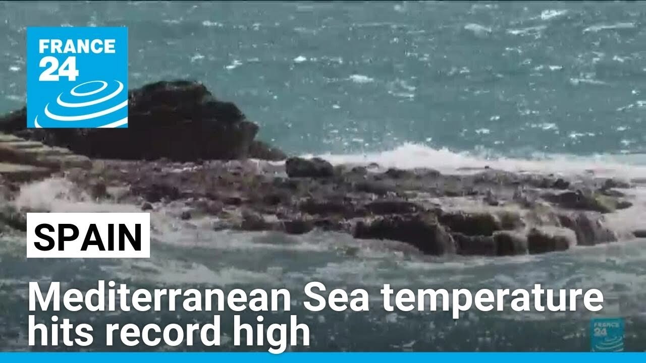 Mediterranean Sea temperature reaches record high &bull; FRANCE 24 English