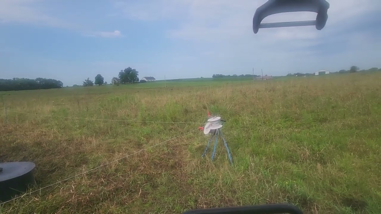 Grazing heavy summer stockpile!