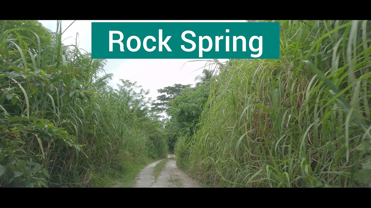 Rock Spring, St Mary, Jamaica