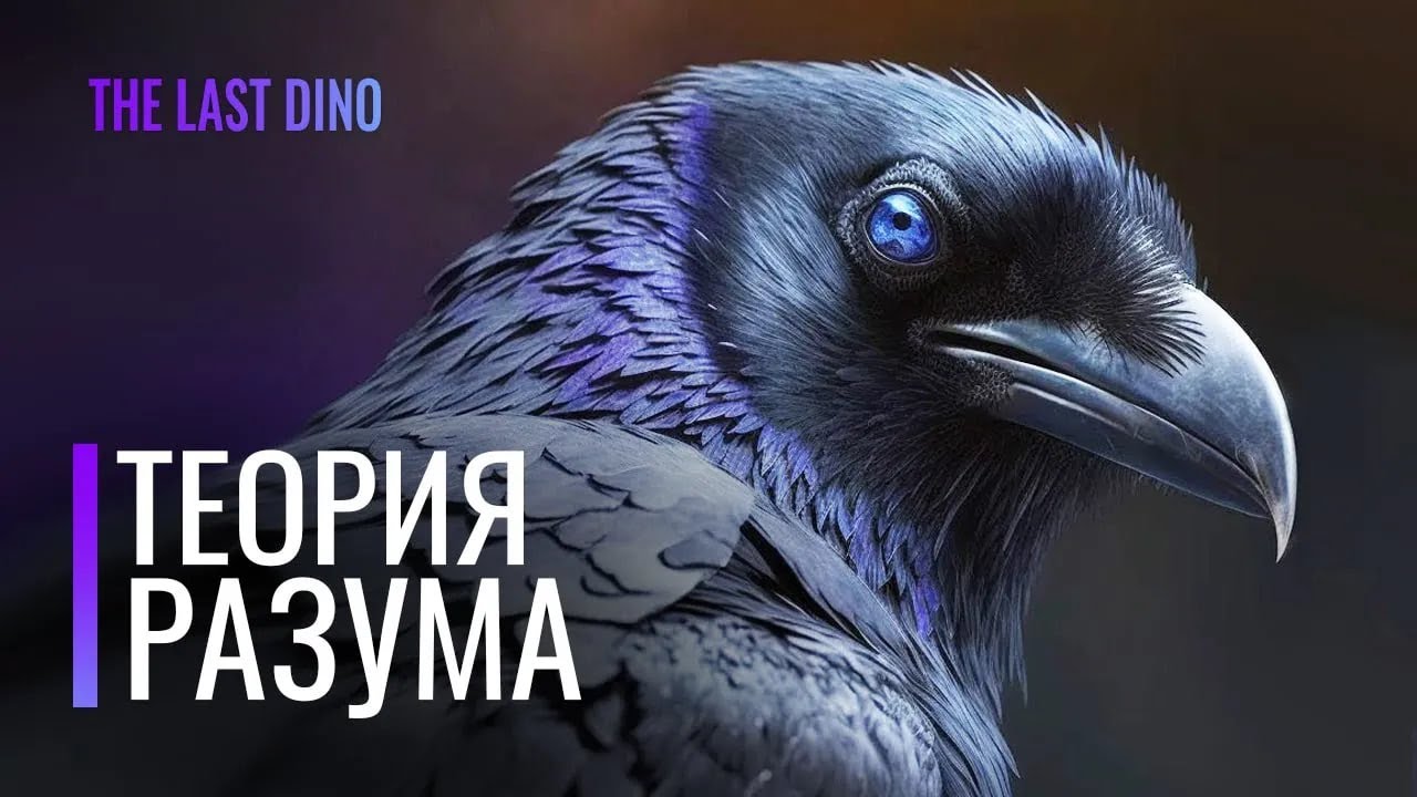 Биология самых умных птиц на планете  Чувство юмора и разум у Врановых