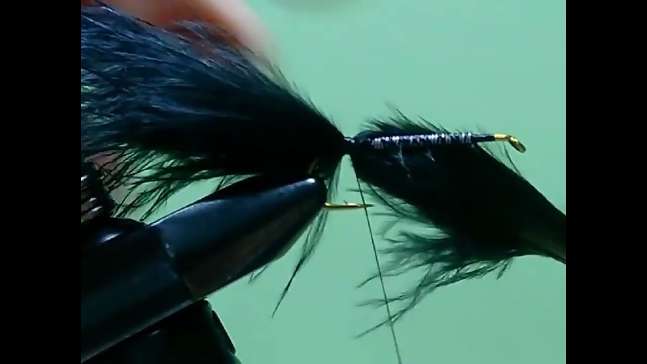 Black Tadpole