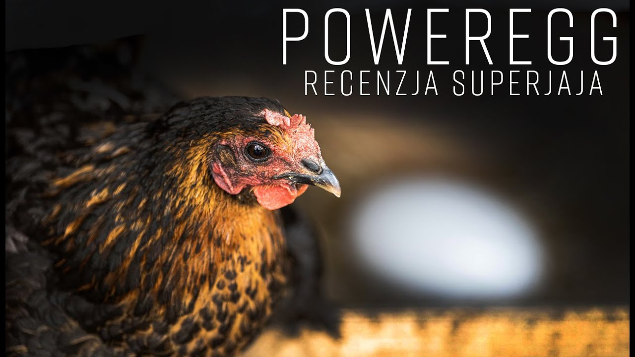 PowerEGG czyli wodoodporny dron Latające JAJO - recenzja
