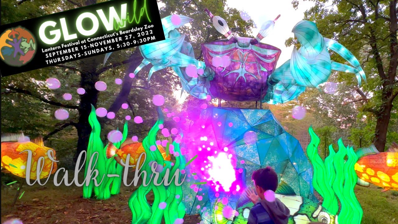 Glow Wild - Lantern Festival At Beardsley Zoo, CT - Walk-thru!