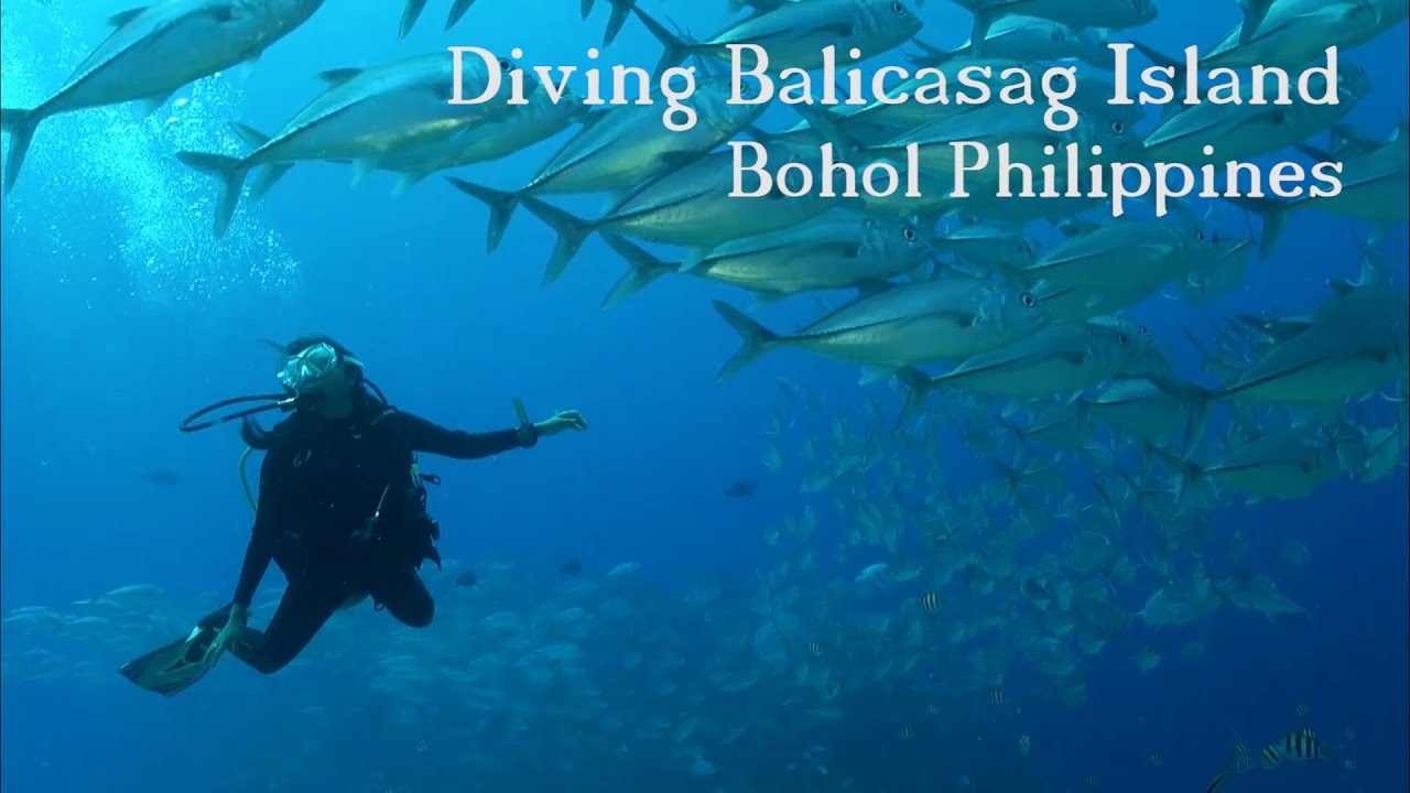 Diving Balicasag Island, Panglao, Philippines
