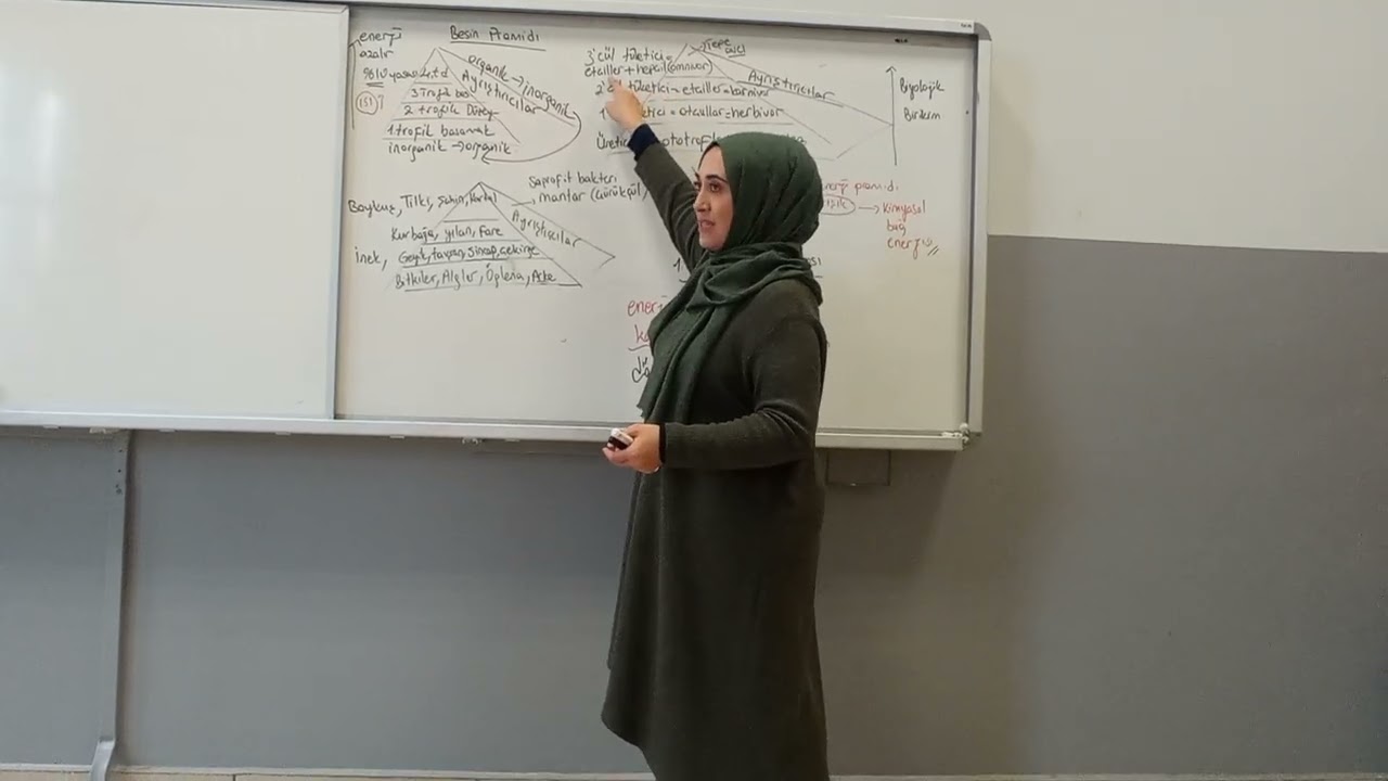 10.Sınıf Ekosistemde Besin ve Enerji Akışı