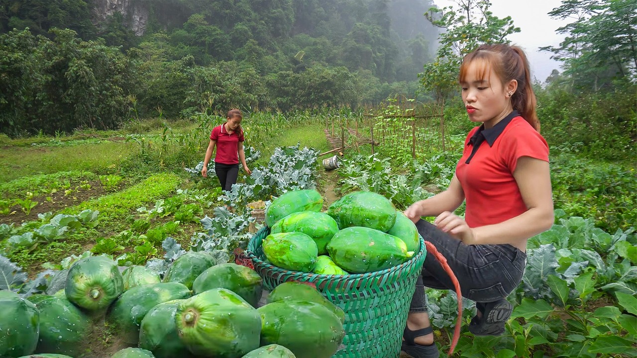 FULL VIDEO: 30 Days Caring for Newborn Farm Animals, Harvesting Fish and Papaya to Sell