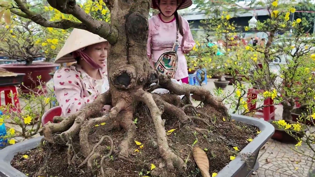 CÔNG VIÊN GIA ĐỊNH 