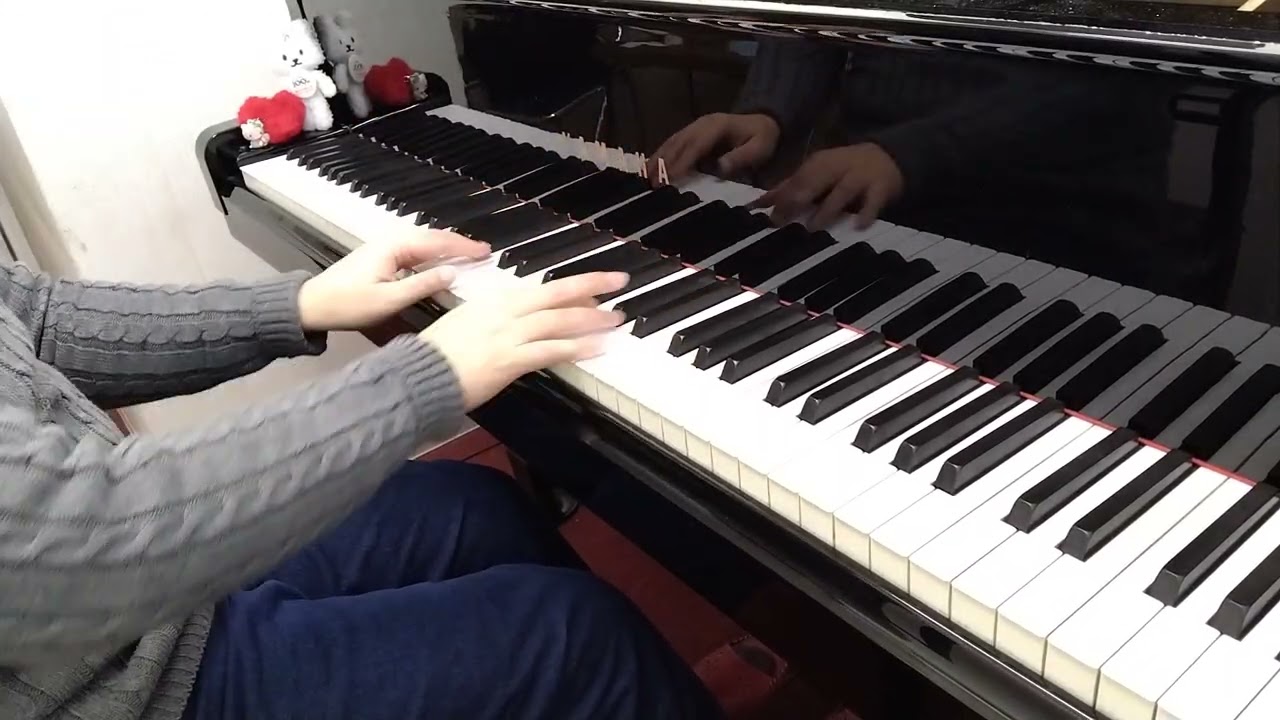 ﾌﾞﾙｸﾐｭﾗｰ：14 ｽﾃｨﾘｴﾝﾇ