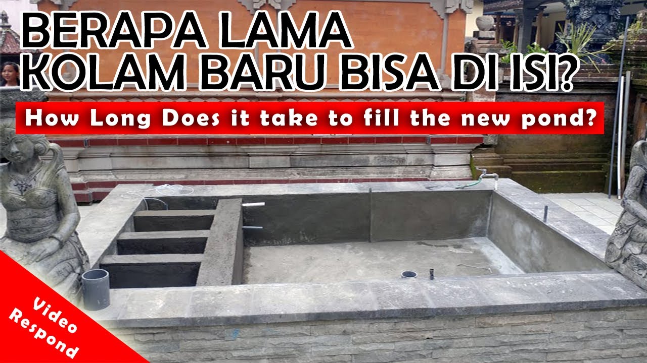 Berapa Lama Kolam Baru Diisi Ikan / How Long Does it Take to Fill The New Pond