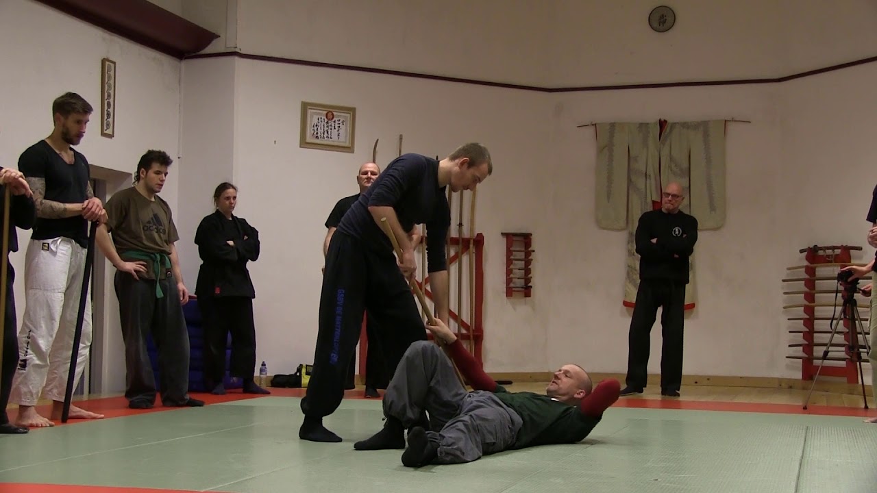 Bujinkan meets Systema 3 - 02 Stick work