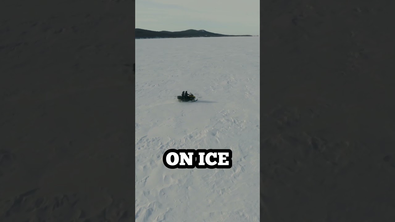 Snowmobiling In Lapland 
