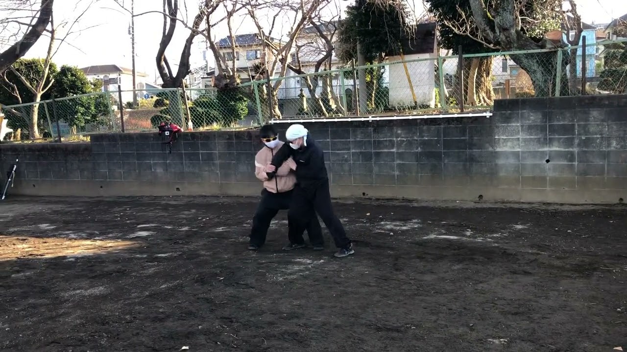 八極対接（対打）
