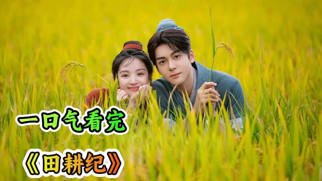 一口气看完解说轻松下饭剧《田耕纪》剧情解说；种田系统开局强制送男友，还莫名其妙喜当娘；永远会磕到欢喜冤家！