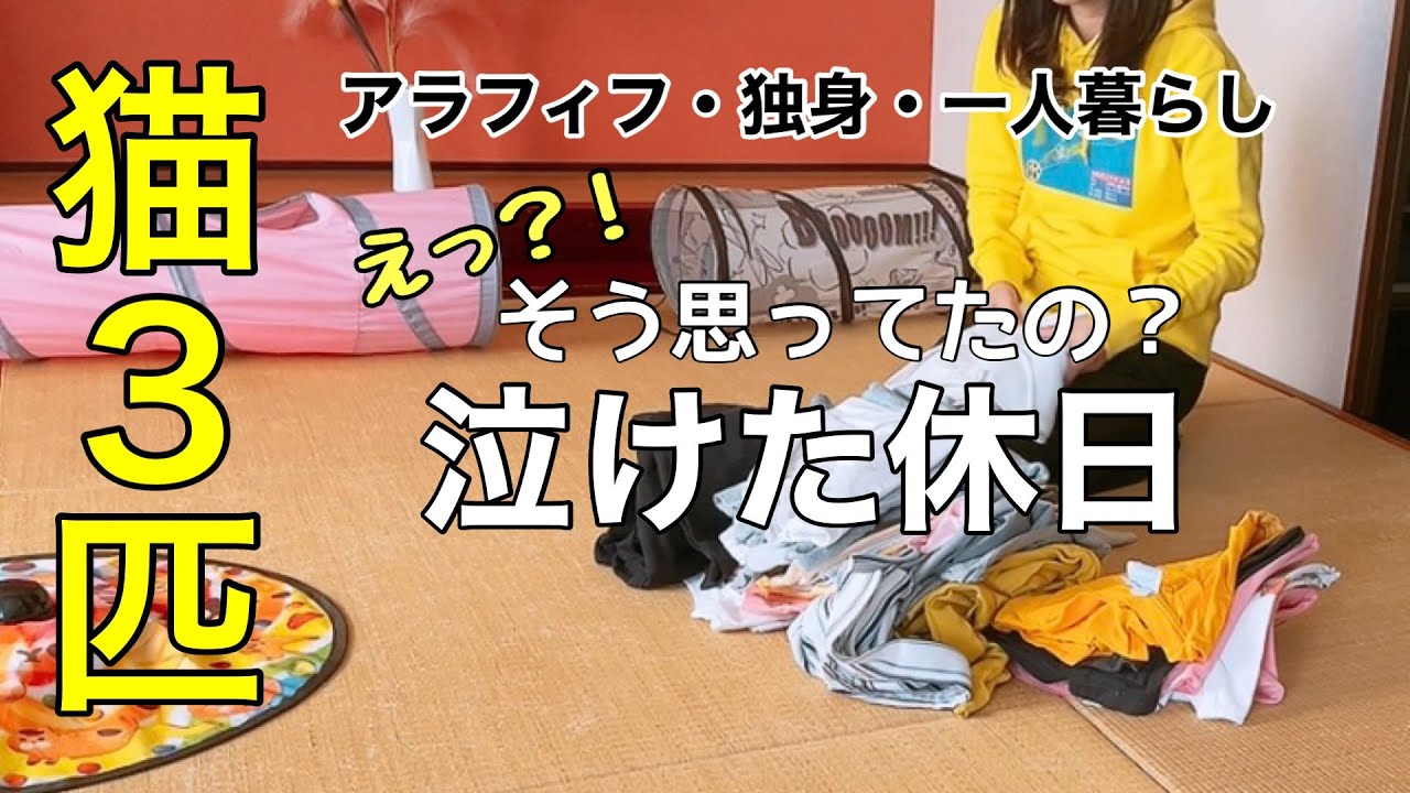 【感動】末期の猫に寄り添う同居猫、その理由に涙が溢れました…|独身女の休日|断捨離|確定申告