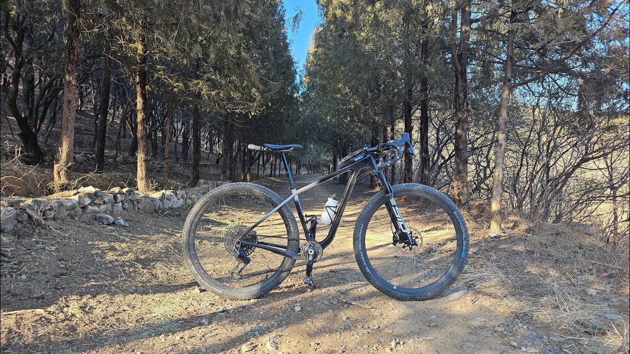 Descending a forest road | gravel | 瓜车 | グラベル