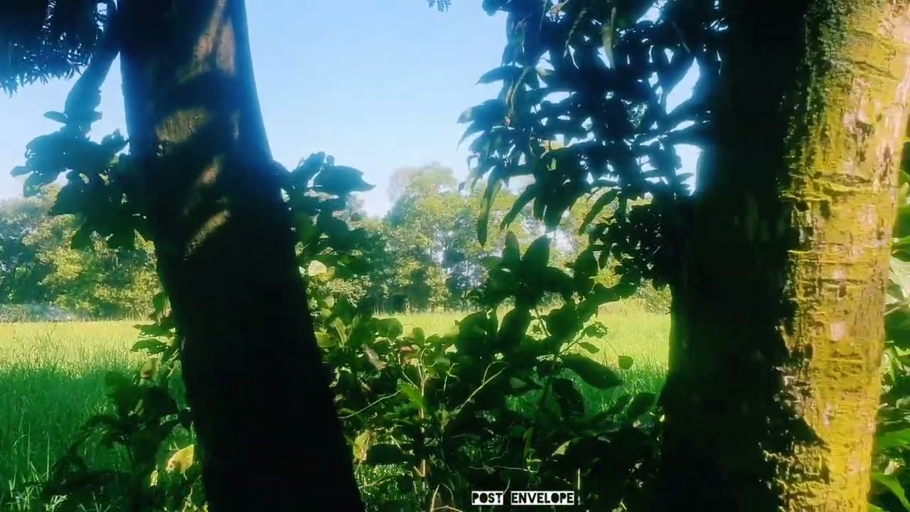Rural Vibe 🍀
