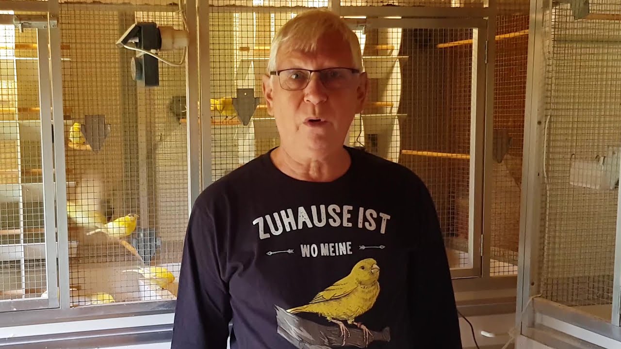 2025 09 Kanarienvögel Fütterung in der Mauserzeit +Training  Gesang