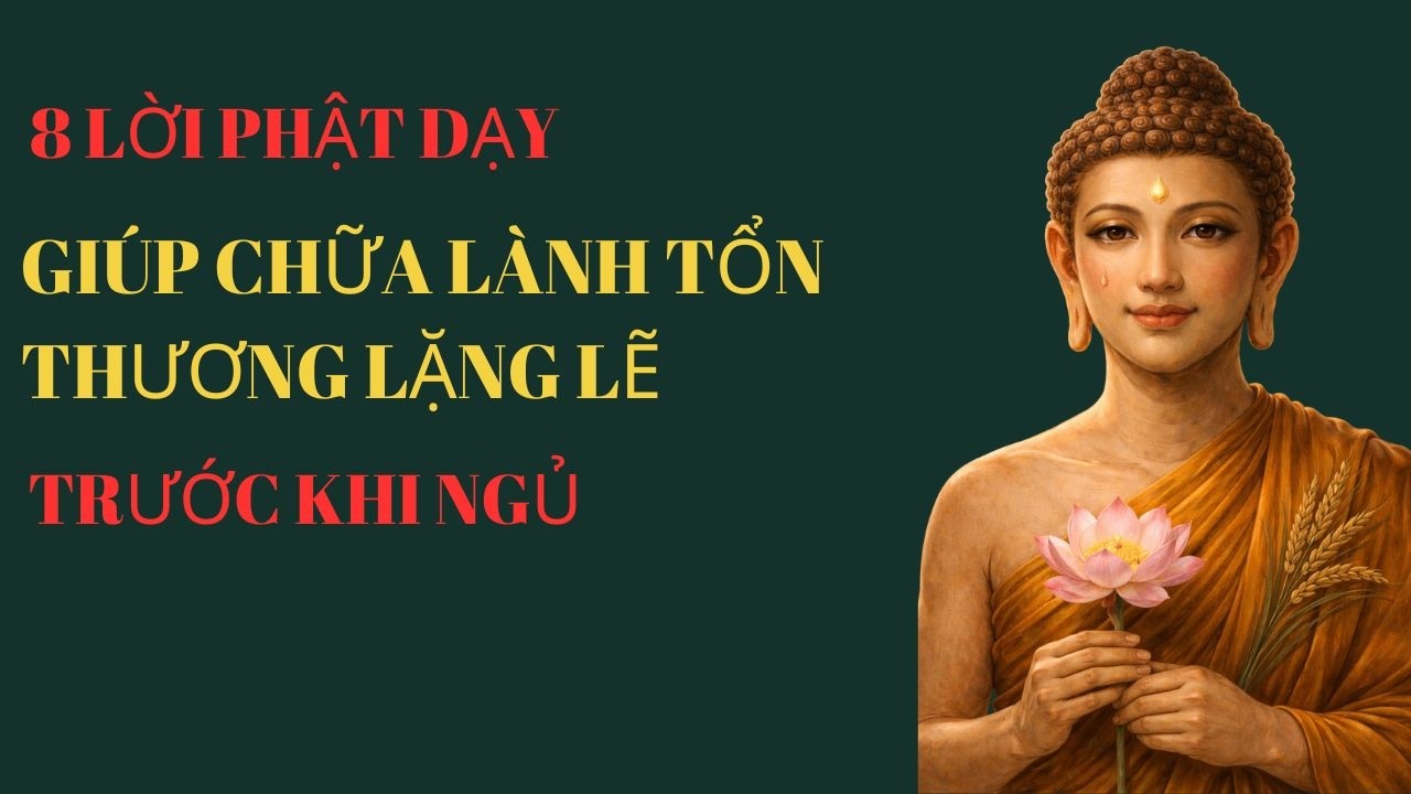 8 LỜI PHẬT DẠY GIÚP CHỮA LÀNH TỔN THƯƠNG LẶNG LẼ TRƯỚC KHI NGỦ