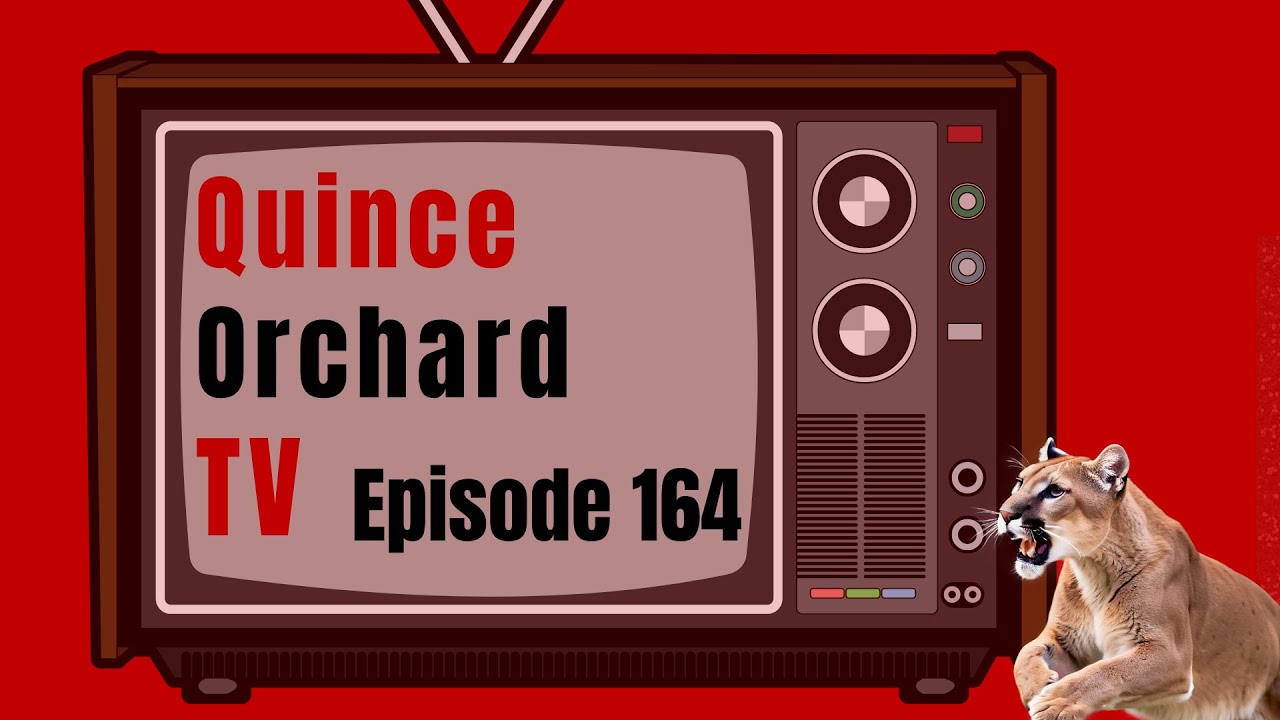 Episode 164