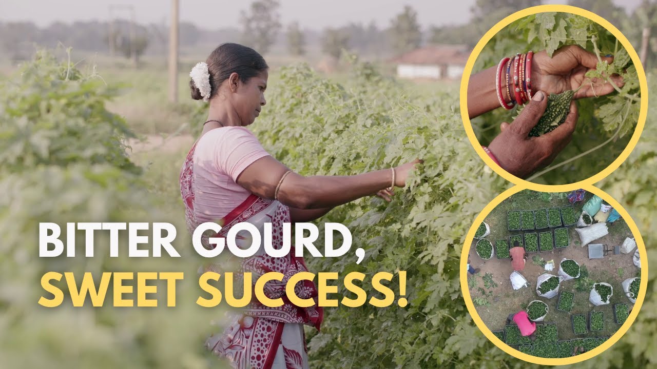 Lalita Naik’s Journey to Self-Reliance